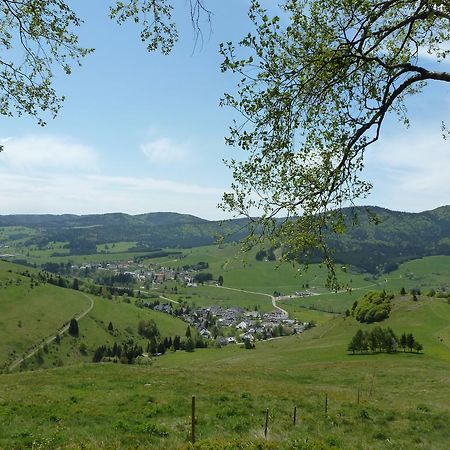 Wohnpark Schwarzwaldblick Bernau Apartment Екстериор снимка