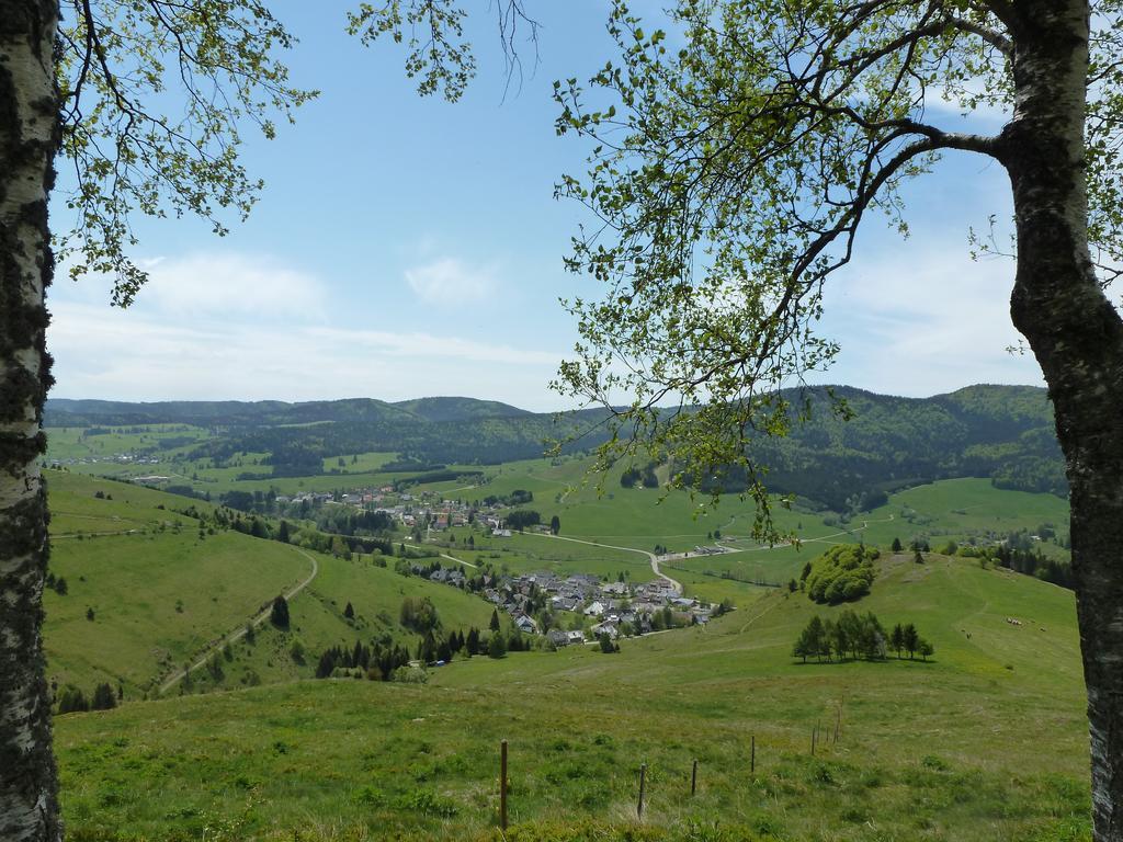 Wohnpark Schwarzwaldblick Bernau Apartment Екстериор снимка